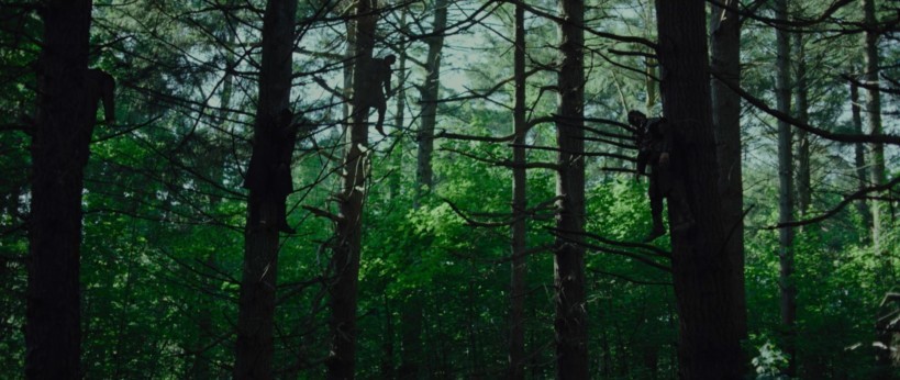 "Апостол" - сцена в лесу