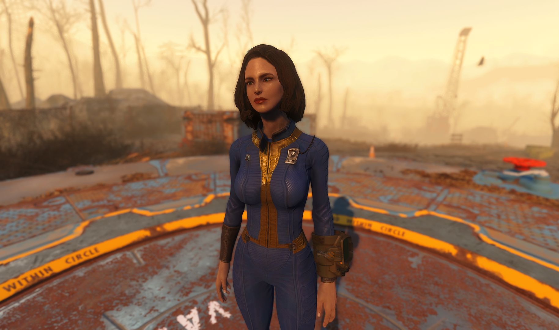 Fallout 4 playstation фото 53